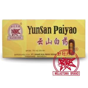 Yunsan Pai Yao (Yunnan)
