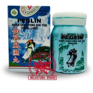 Peglin (Shien Chao)