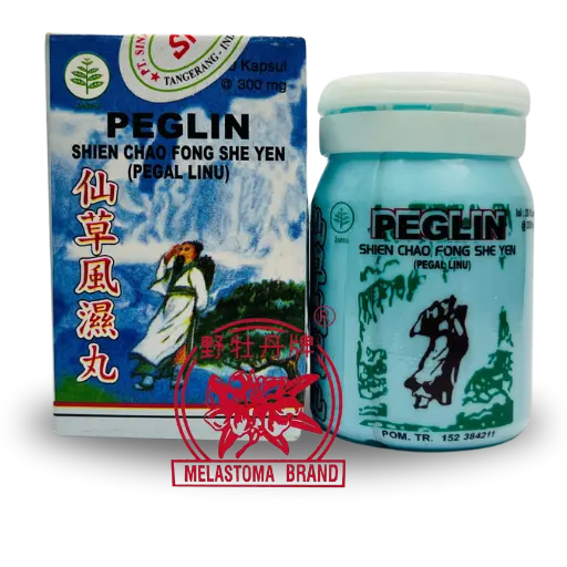 Peglin (Shien Chao)