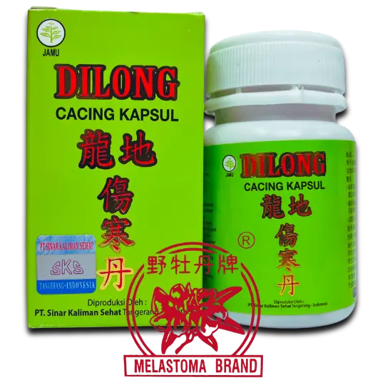 Dilong: Solusi Herbal Alami untuk Menurunkan Demam Akibat Gejala Tipes