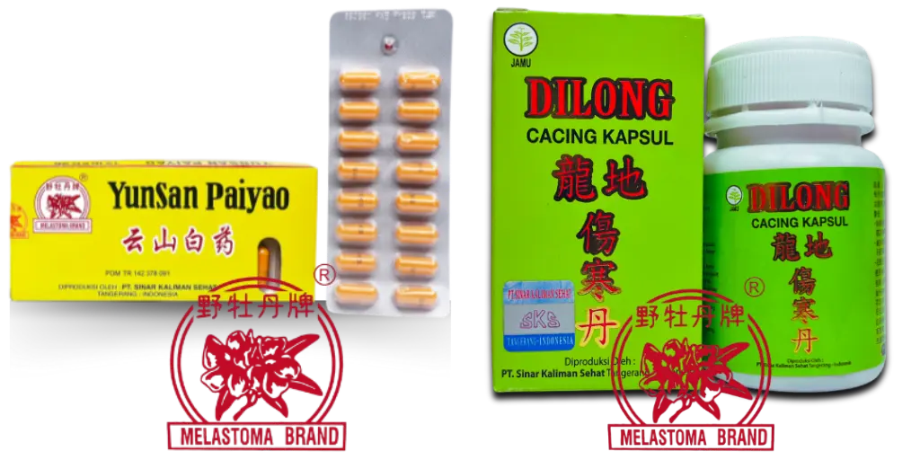 Produk Melastoma Kini Tersedia di Apotek Terdekat